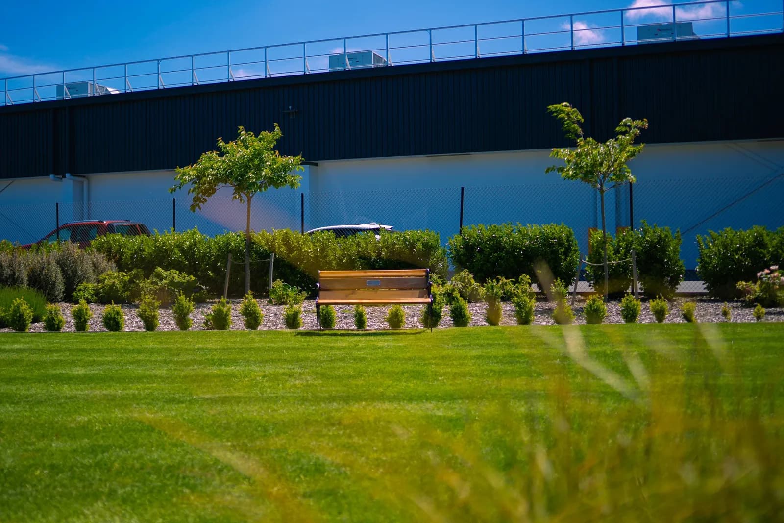 Horizon team maintaining a commercial site in Christchurch