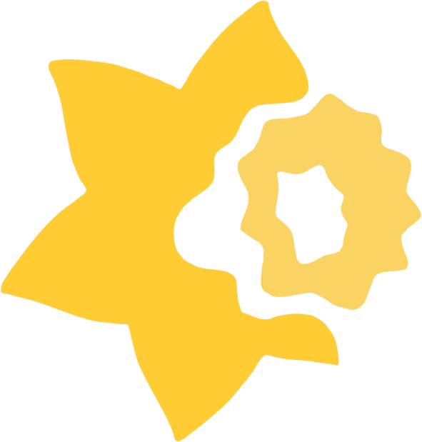 Cancer Society daffodil