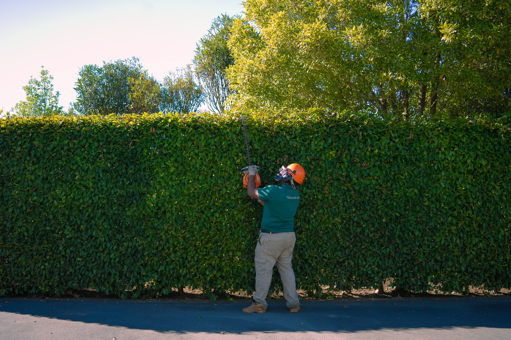 Lawn-care-christchurch