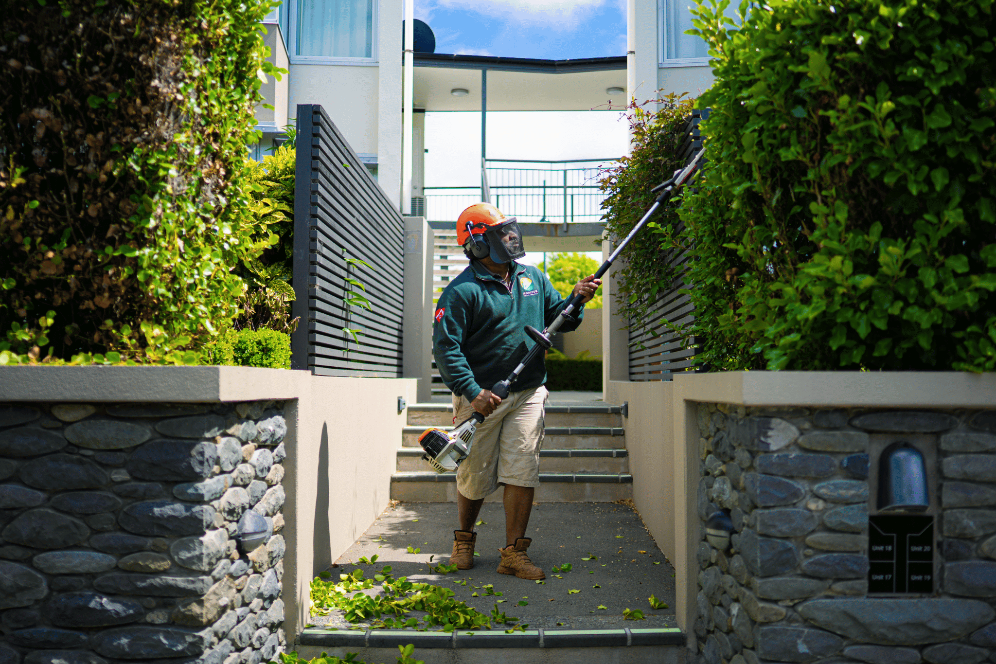 Hedge trimming service in Christchurch