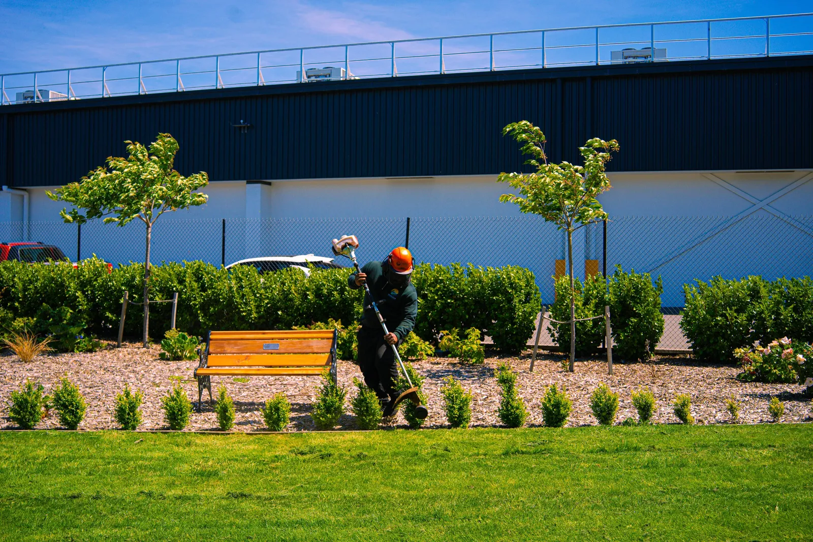 Horizon team member maintaining a commercial landscape with lawns, planting and seating.